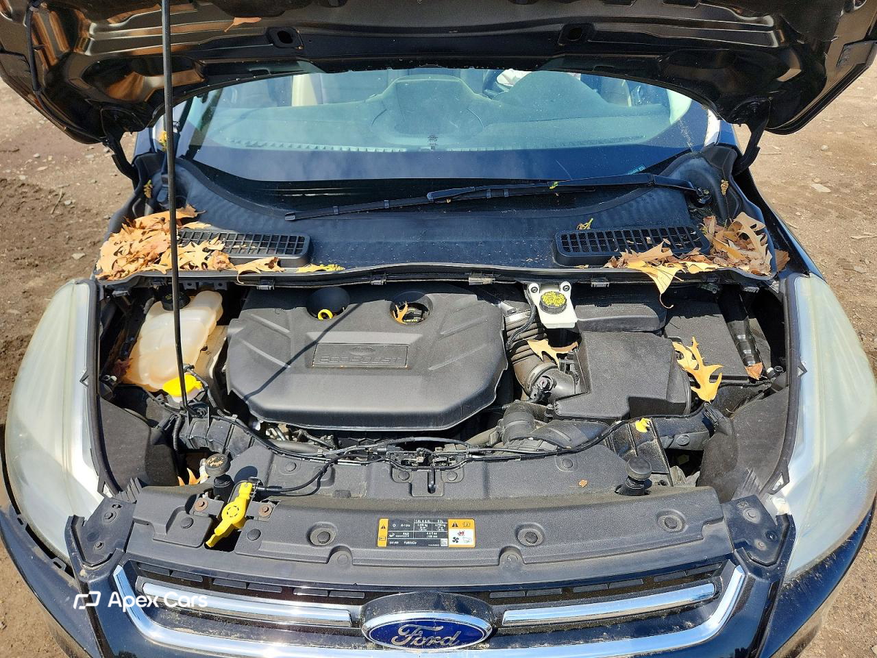 Ford Escape 2015