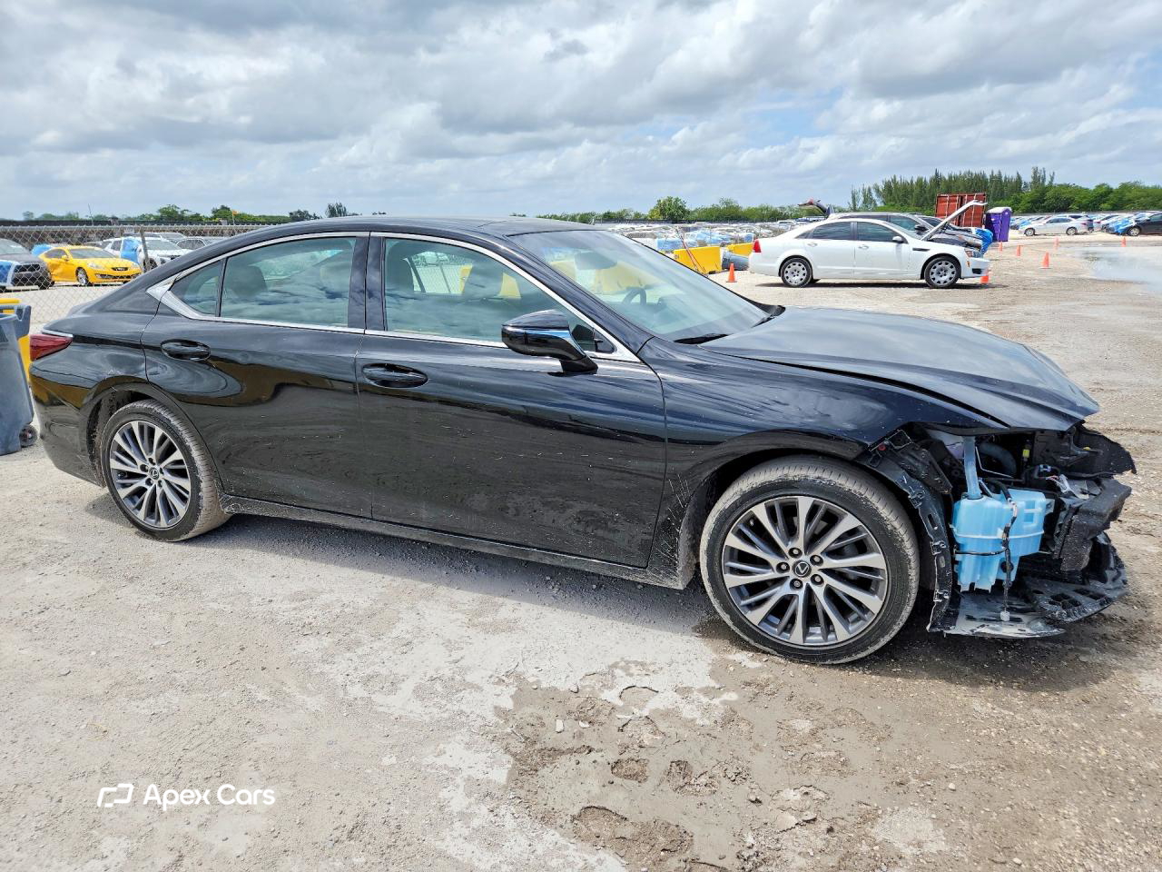 Lexus ES 2019