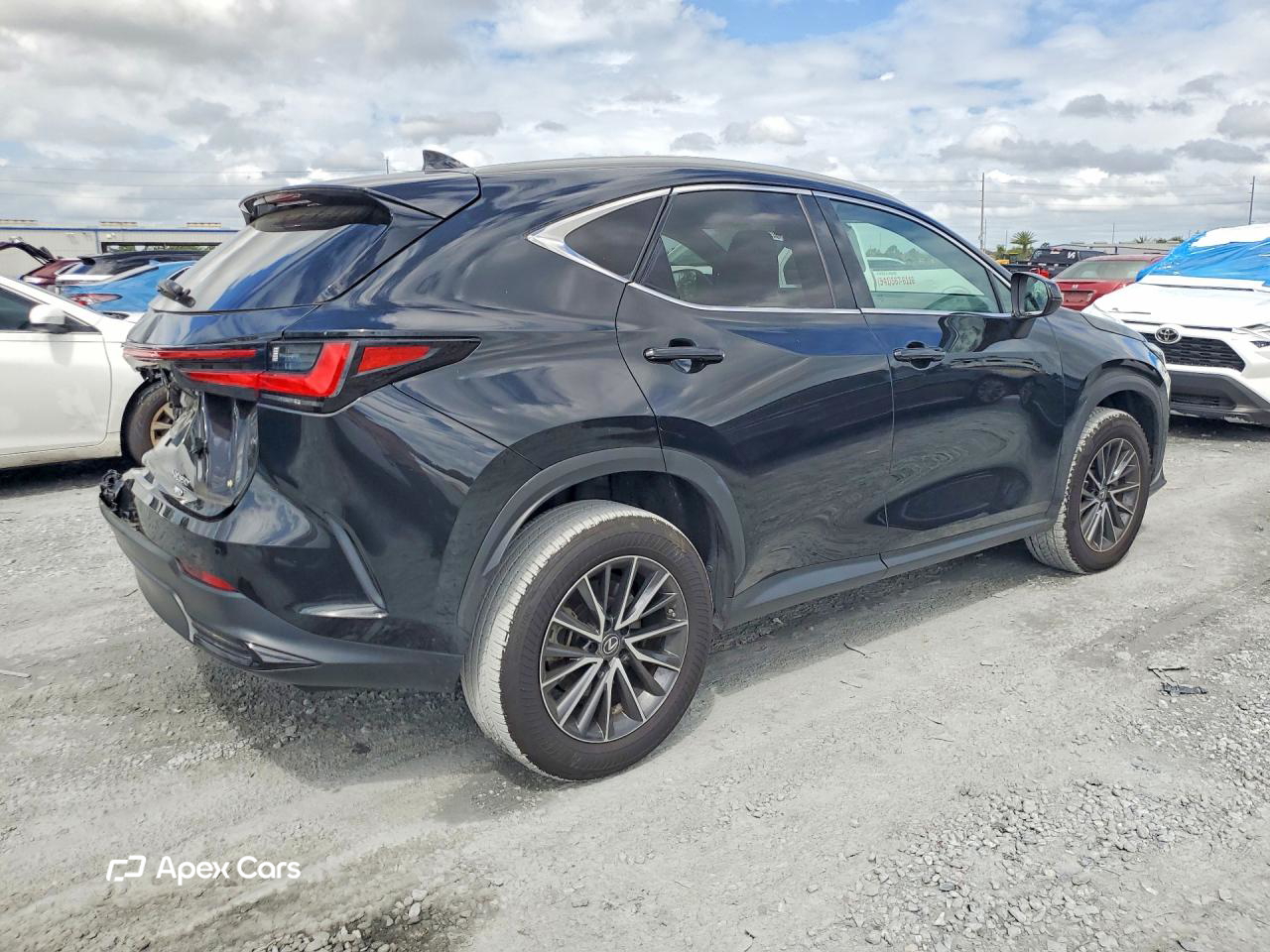 Lexus NX 2023