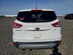 Ford Escape 2015