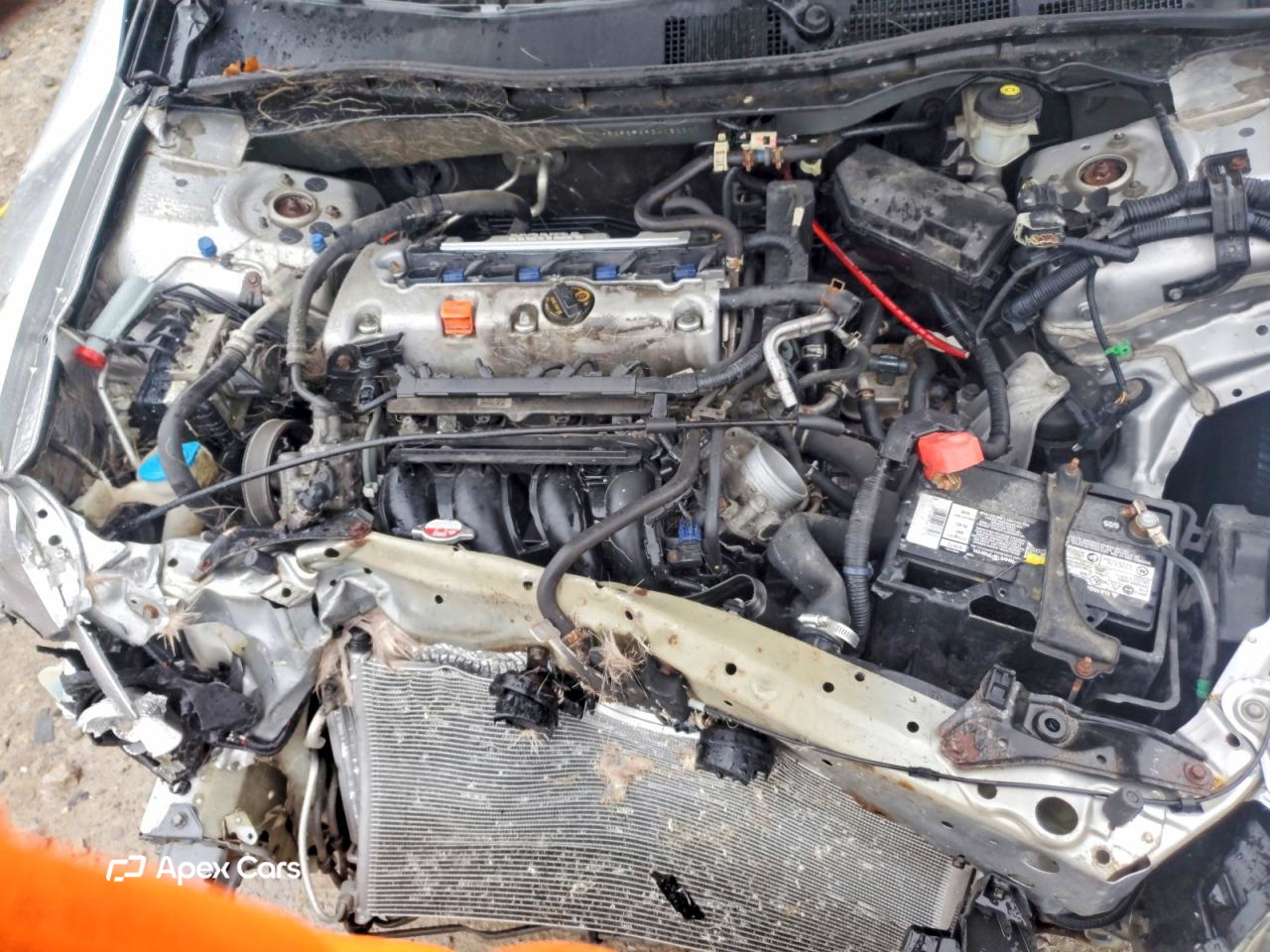 Honda Accord 2012