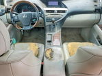 Lexus RX 2010
