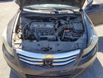 Honda Accord 2011