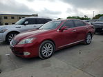 Lexus ES 2010