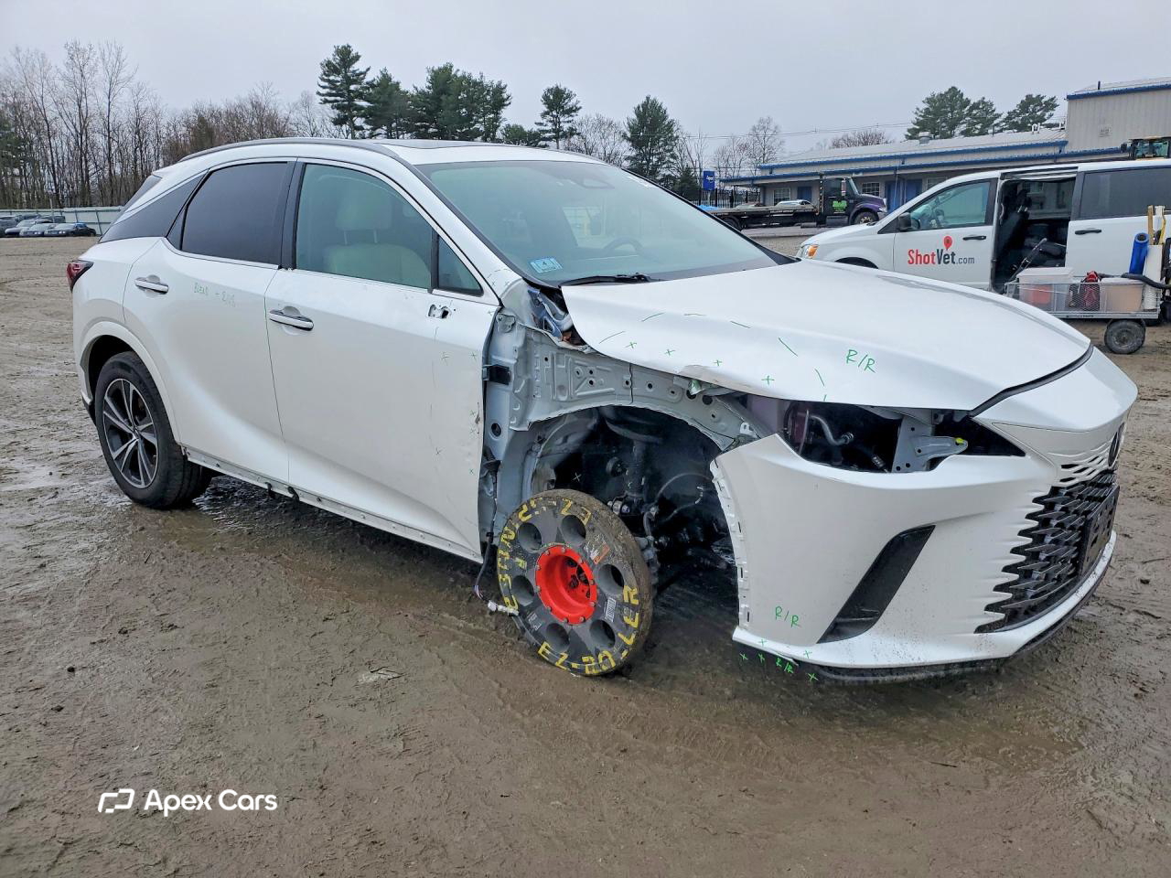 Lexus RX 2024