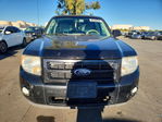 Ford Escape 2010