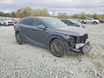 Lexus RX 2025