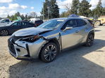Lexus UX 2020