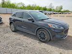 Ford Escape 2020