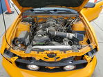 Ford Mustang 2007