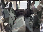 Jeep Wrangler 2024