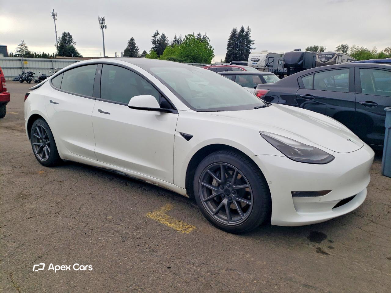 Tesla Model 3 2022