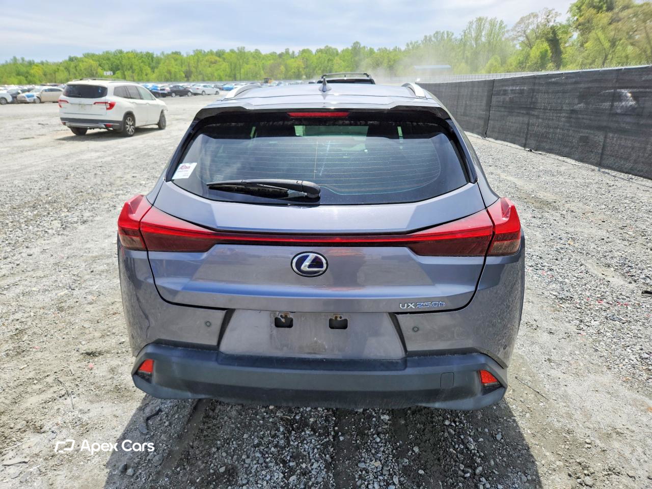 Lexus UX 2019
