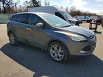 Ford Escape 2013
