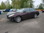 Lexus ES 2003