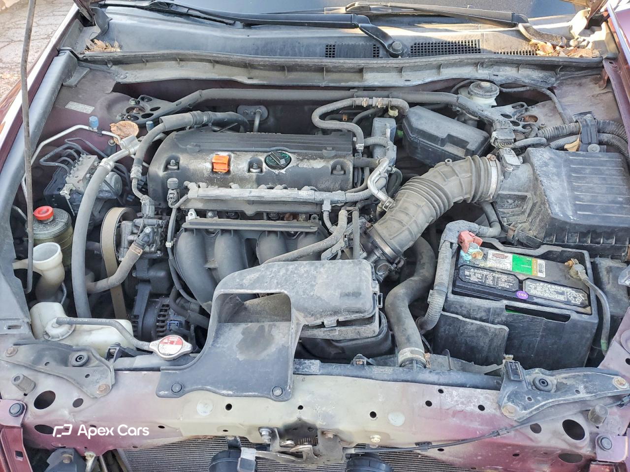 Honda Accord 2010