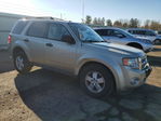 Ford Escape 2012