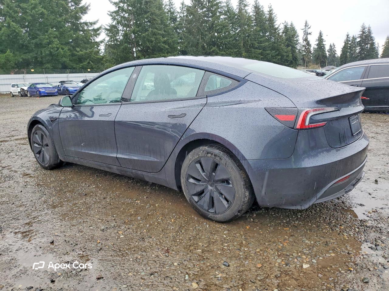 Tesla Model 3 2024
