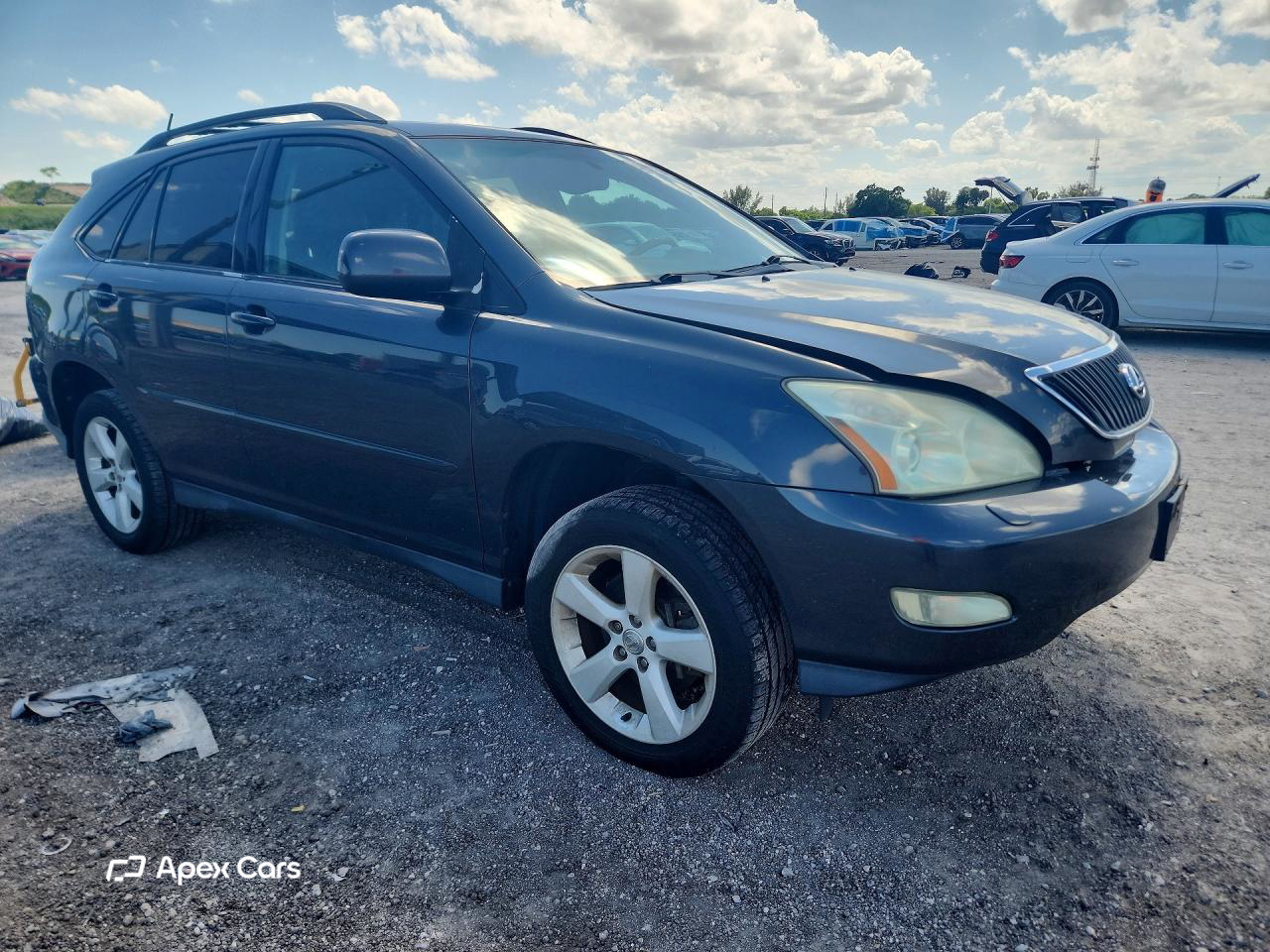 Lexus RX 2004