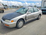 Honda Accord 1997