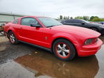 Ford Mustang 2008