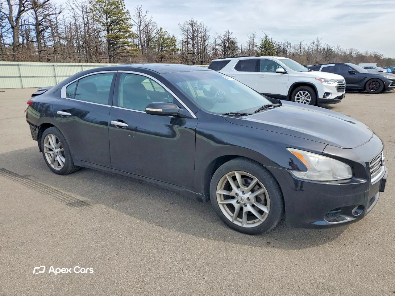 Nissan Maxima 2010