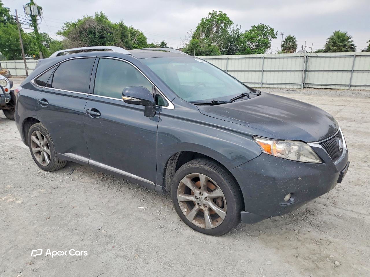 Lexus RX 2010