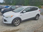 Ford Escape 2015