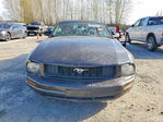 Ford Mustang 2008