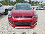 Ford Escape 2015