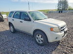 Ford Escape 2012