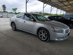 Nissan Maxima 2013