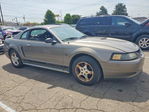 Ford Mustang 2002