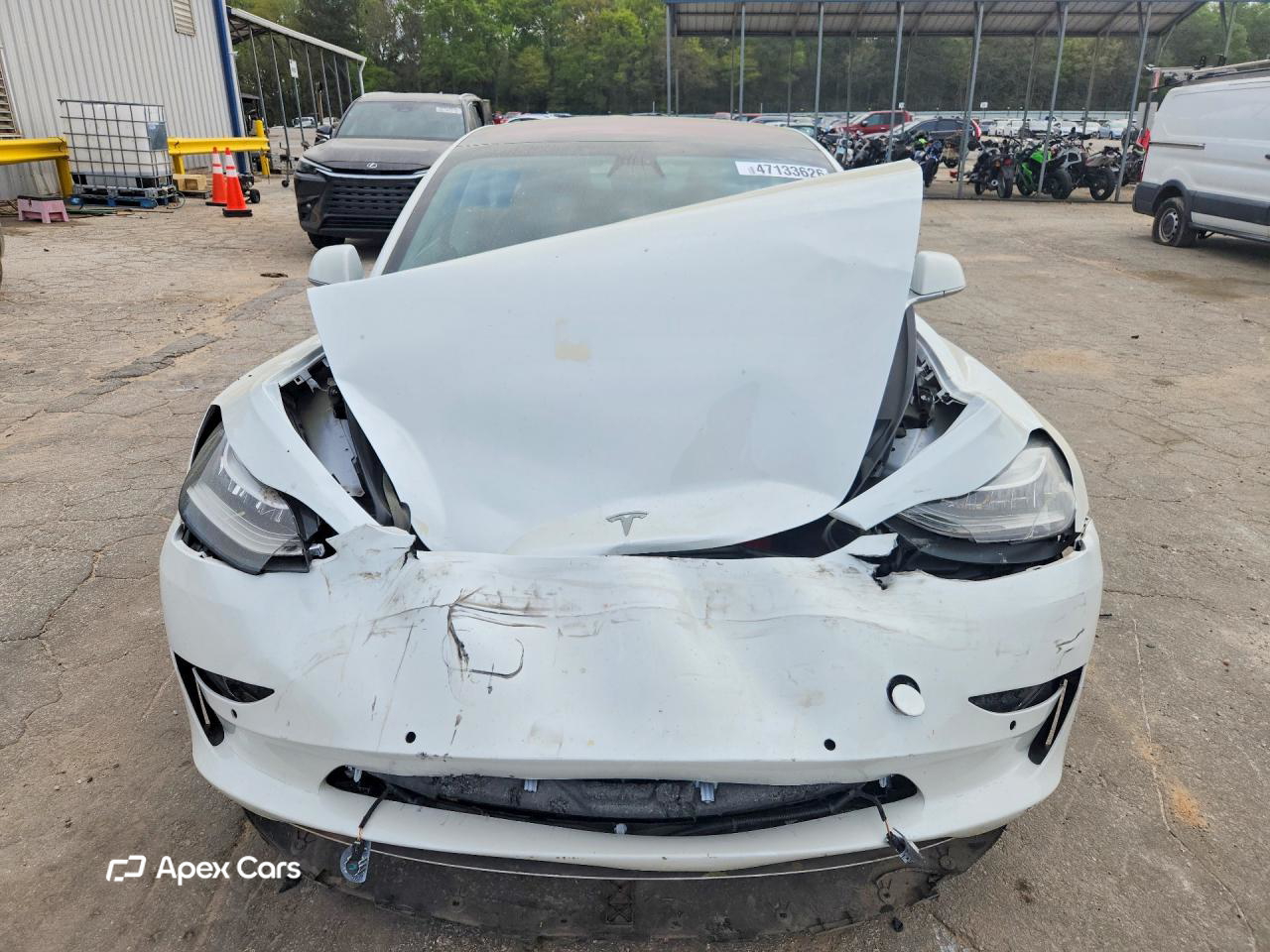 Tesla Model 3 2019