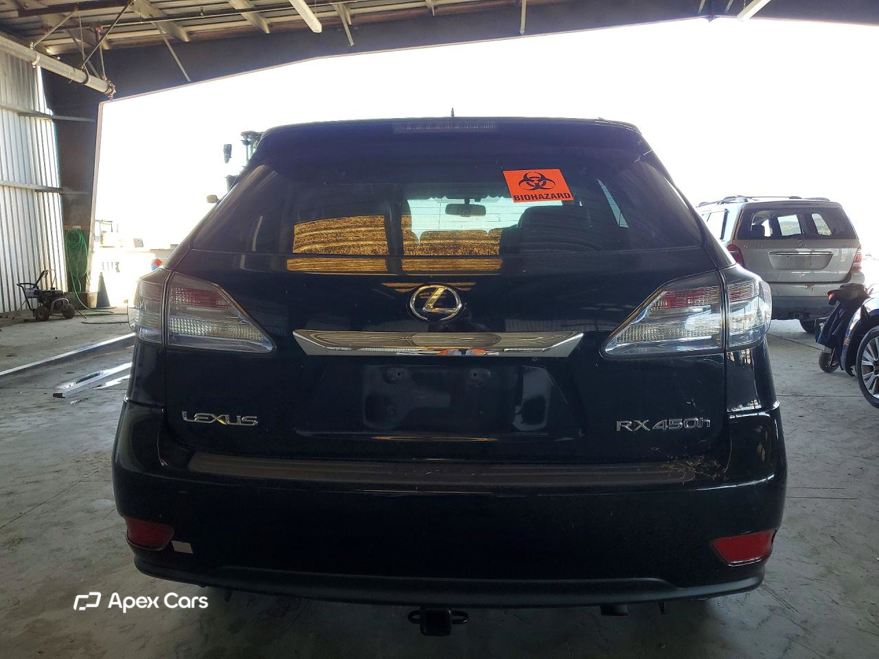 Lexus RX 2010