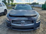 Nissan Maxima 2010