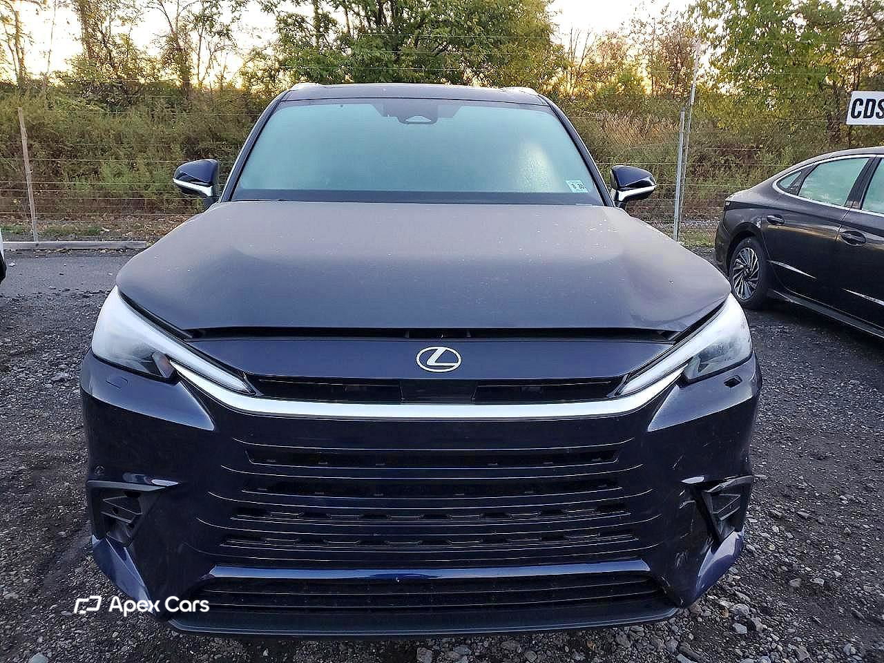 Lexus TX 2025