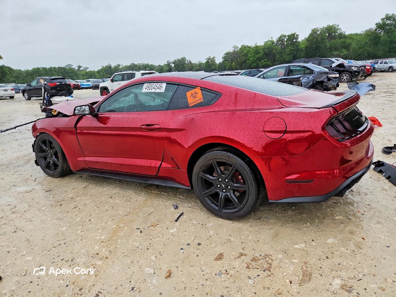 Ford Mustang 2019