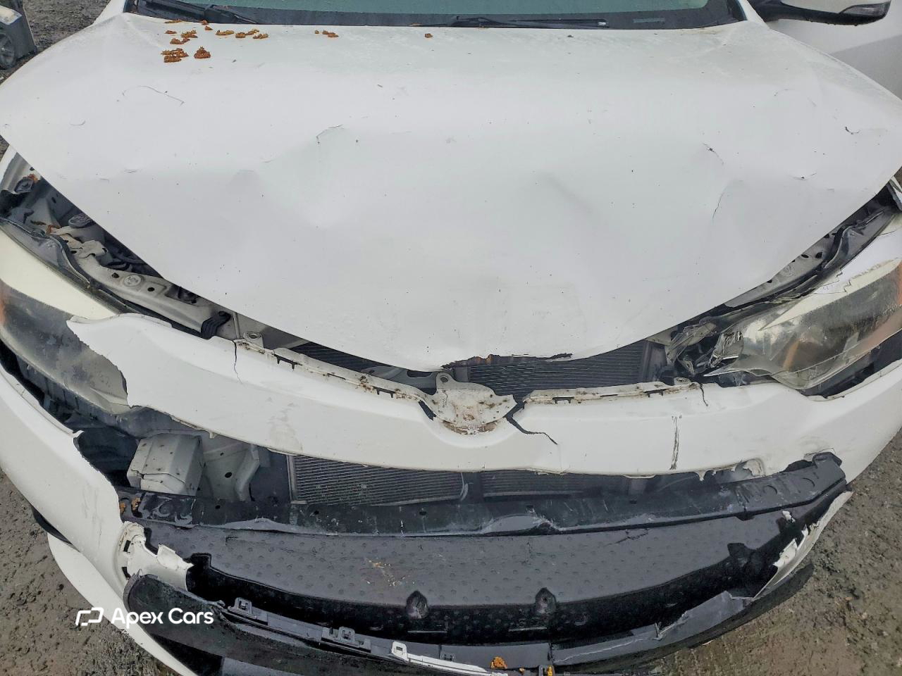 Toyota Corolla 2016