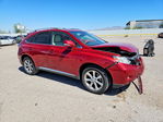 Lexus RX 2010