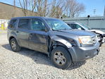 Honda Pilot 2011