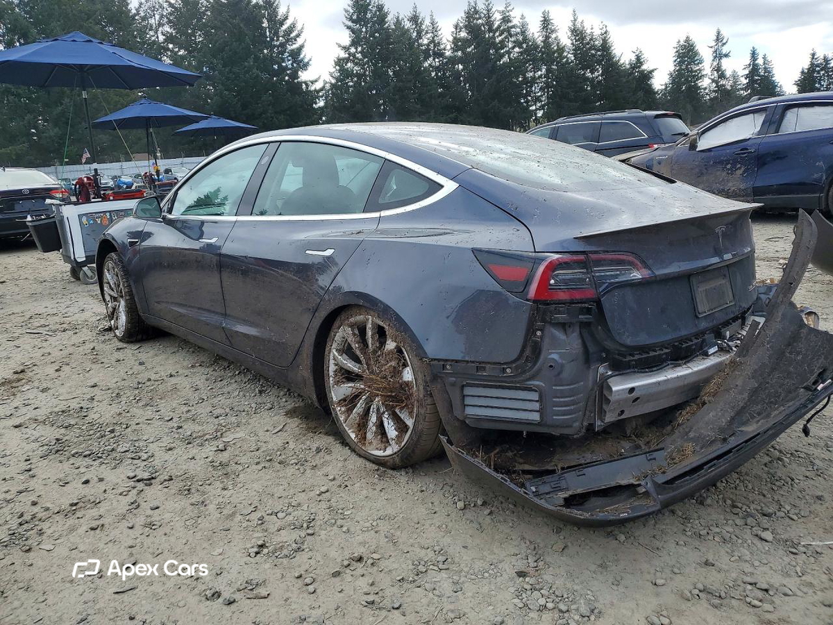 Tesla Model 3 2019