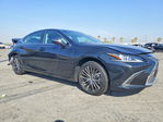 Lexus ES 2025