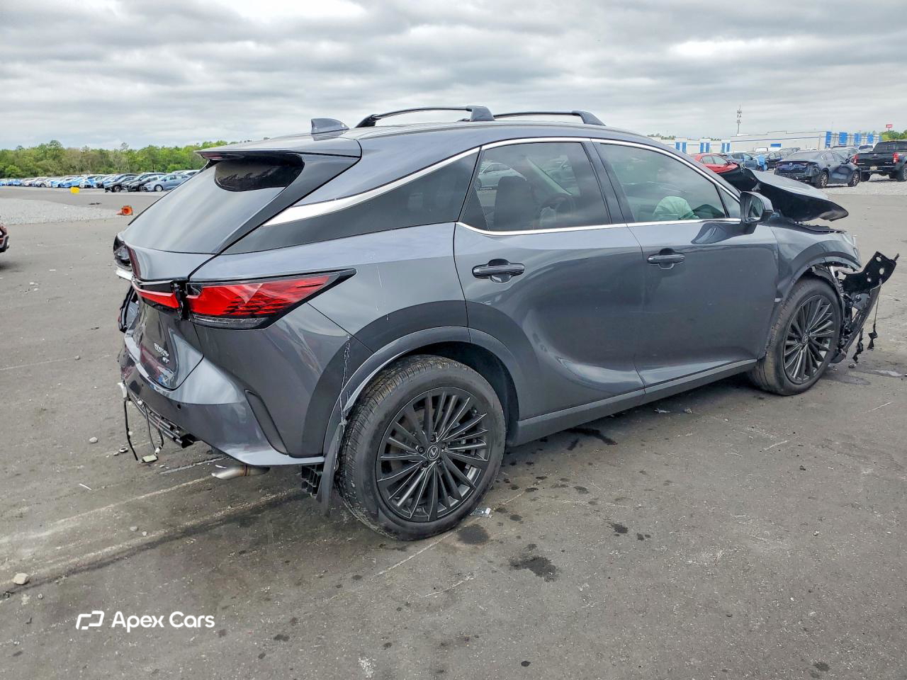 Lexus RX 2024