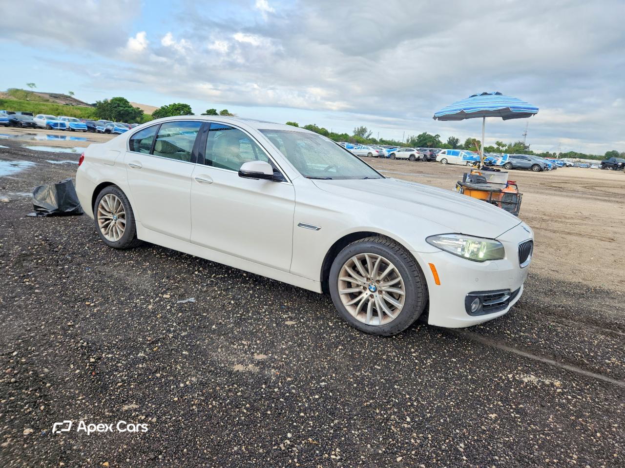 BMW Series 5 2014