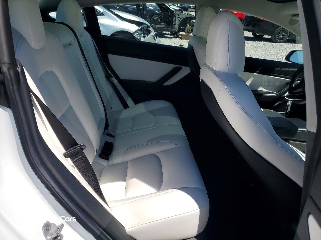 Tesla Model 3 2019