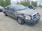 Dodge Dakota 2005