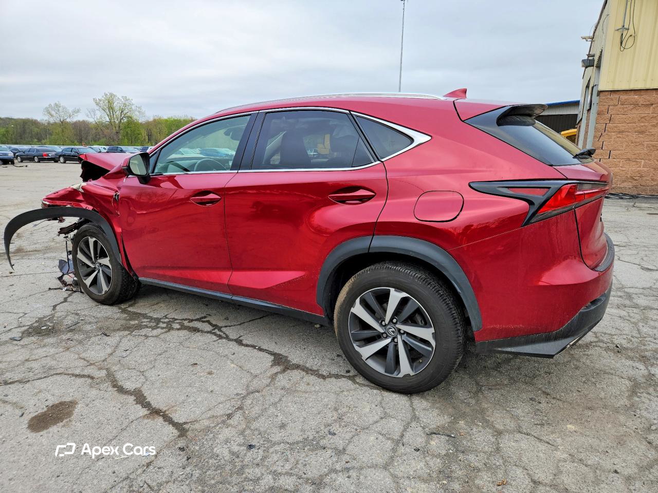 Lexus NX 2019