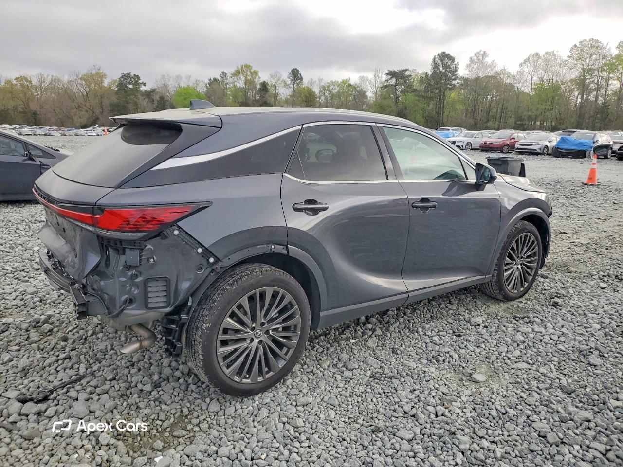 Lexus RX 2025