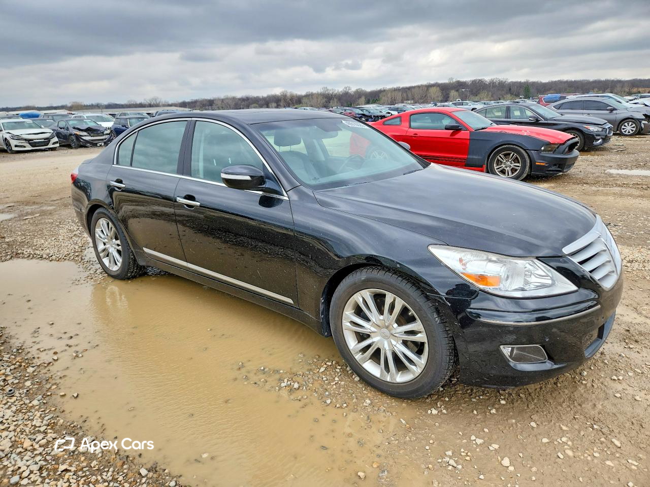 Hyundai Genesis 2011